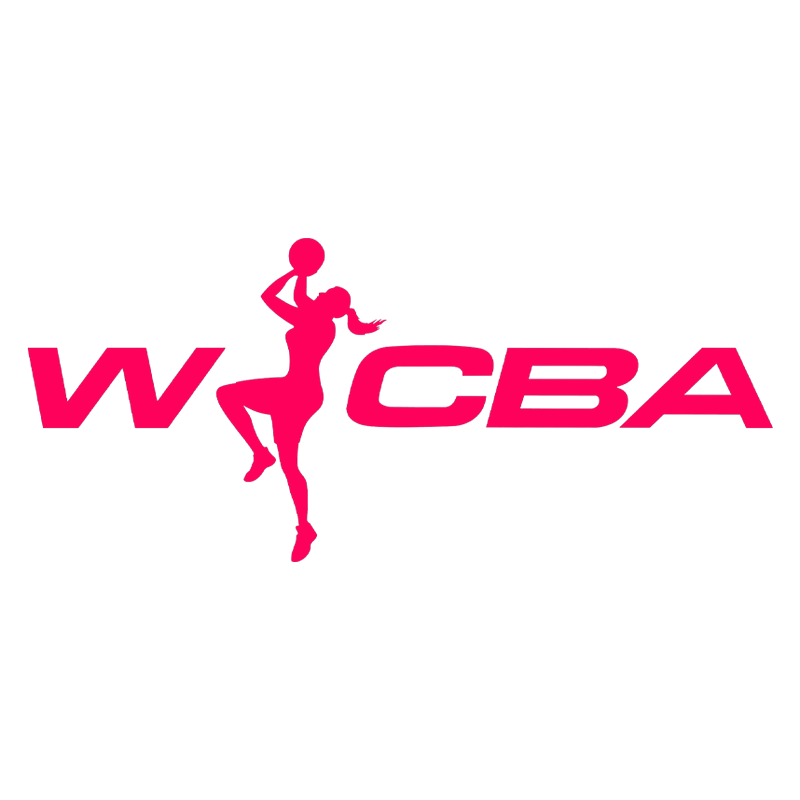 WCBA 武汉盛帆黄鹤vs河南豫光金铅20241226